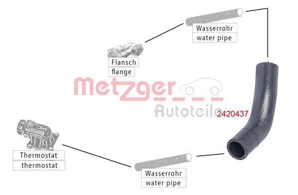 Durite de radiateur (Durite de refroidissement) METZGER ref. 2420437